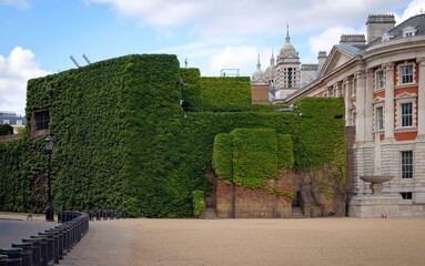 Fototapeta na wymiar green wall in the city of london near the park