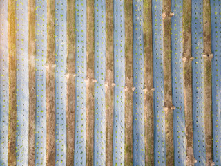 Aerial view or bird eye view of agriculture plantation
