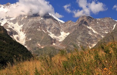 Naklejka premium Veduta del Monte Rosa con nuvole, cime e fiori