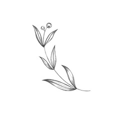 Cute kawaii leaf autumn twig. Textured pencil sketch digital art. Wrapping paper print, fabric, scrapbooking, web, wedding invitation, sticker.