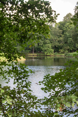 landscape river in the forest with blue sky