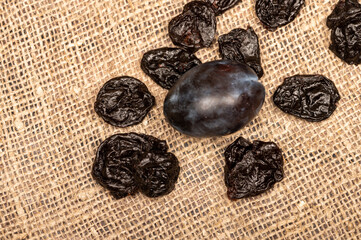 Juicy black plums and dried prunes on a homespun cloth with a rough texture. Close up. Autumn harvest.