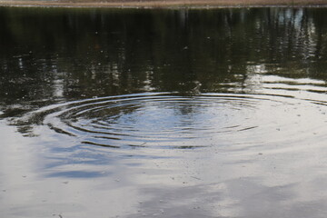 ripples in water