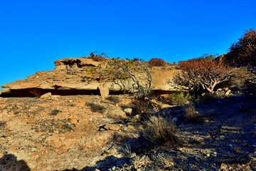 southern landscapes