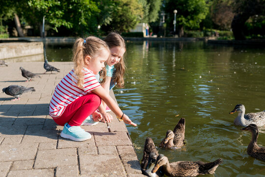 Cute little girls feeding group of pigeons with seeds from her hands on the footpath in park on sunny day. Children interact with birds. Kids taking care of animals outdoor.