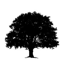 vector tree illustration silhouette icon