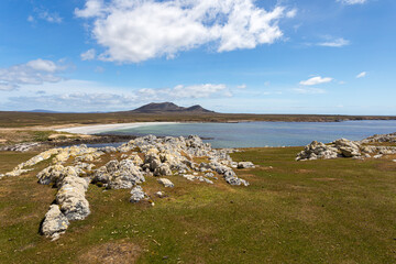 View of a beach, Falkland Islands