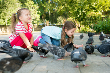 Cute little girls feeding group of pigeons with seeds from her hands on the footpath in park on sunny day. Children interact with birds. Kids taking care of animals outdoor.