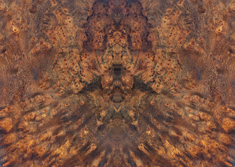 Nature Burma padauk burl wood striped Exotic wooden beautiful pattern for texture background