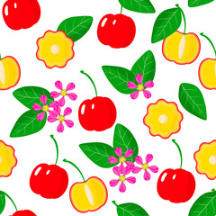 Vector cartoon seamless pattern with Acerola exotic fruits, flowers and leafs on white background