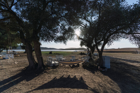 Entorno natural con columpios y amacas