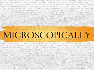 microscopically