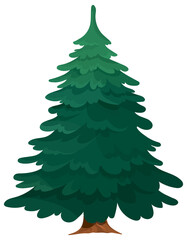 Obraz premium Evergreen tree isolated on white background. Conifer in cartoon style.