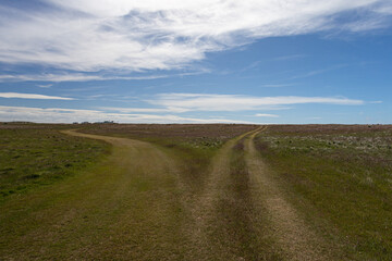 Fototapeta na wymiar Roads on Sea Lion Island, Falkland Islands