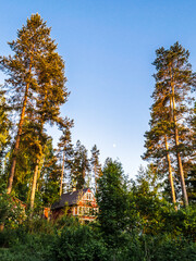 summer evening landscape with pine trees in the rays of the setting sun and a small country house