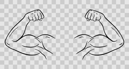 Biceps of a sports person vector fit. Body muscle flexing or strong biceps logo. Vector illustration