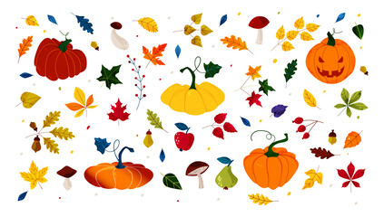 Hello autumn. Pumpkin of various shapes. Fall leaves and berries. Thanksgiving and Halloween Elements. Hand drawn vector. Illustrations for poster, background or card. Stamp texture.