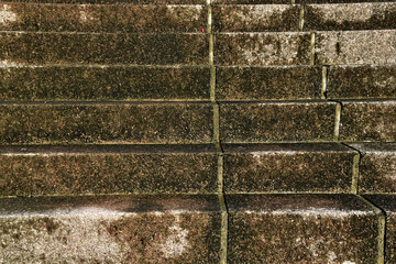Abstract background of shadows leaf on Step of rock stair with vintage style.
