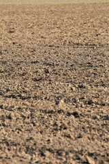 soil in the ground