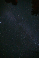 Fototapeta na wymiar scattering of stars in the night sky
