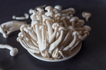 mushrooms on black background