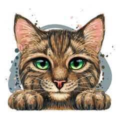 Kitten. Wall sticker. Color, graphic, artistic drawing of a cute striped kitten is pretty squinting. Separate layer