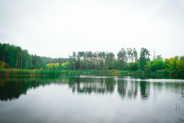 Fototapeta na wymiar Landscape of a beautiful lake at the edge of the forest