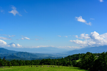 真夏の八ヶ岳　牧場と富士山
