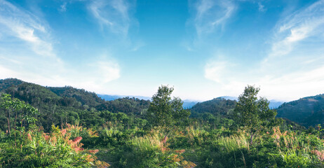 Fototapeta premium World environment day concept: Green mountains and beautiful blue sky clouds