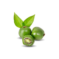 mini kiwi baby fruit an isolated on white background