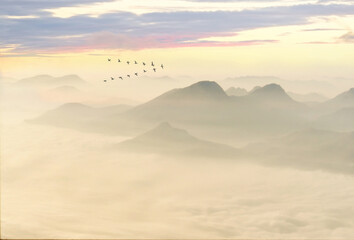 Fototapeta na wymiar Greylag goose (Anser anser), wild geese in flight, with cloud-covered mountain landscape at sunset