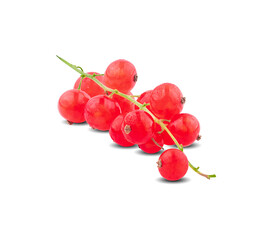 red currant isolated on the white background