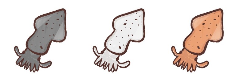 R:メルヘンな水族館 ヤリイカ