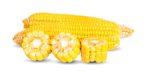 corn isolated on white background