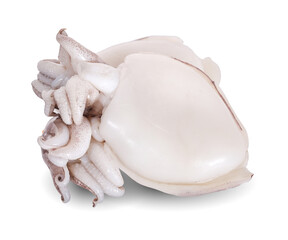 shape on isolated white background