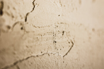 stone white wall texture