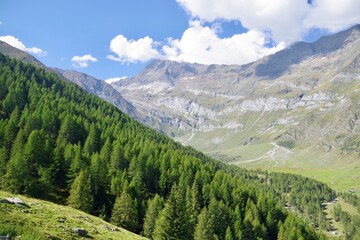 Fototapeta premium Passeiertal bei Pfelders