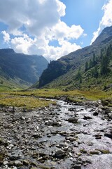 Naklejka premium Bergbach im Passeiertal 