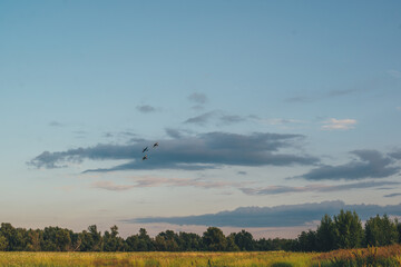 planes in the sky