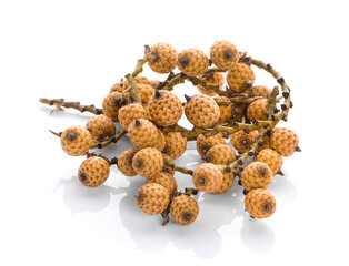 Rattan palm fruit isolated on white background