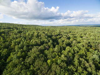 Aerial view of Forest and clouds