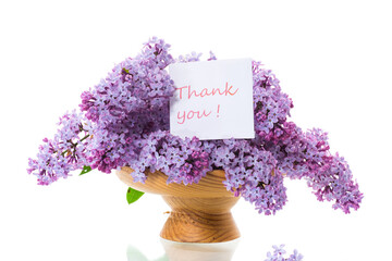 bouquet of beautiful spring flowers of lilac on white background