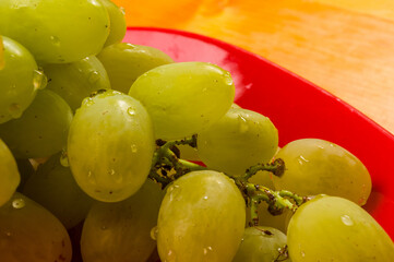 large brush of green grapes in a red ceramic plate on a wooden background