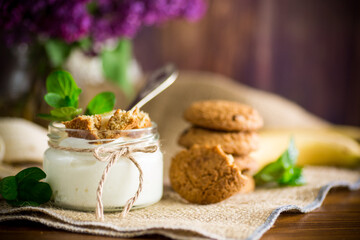 sweet homemade yogurt with fresh bananas and slices of oatmeal cookies