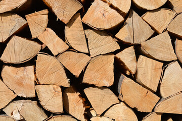 Fototapeta premium Pile of logs
