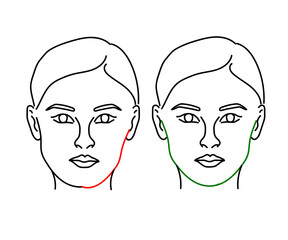 Woman's face on a white background. Face and cheekbone correction. Vector illustration.