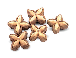 Star Bean Inca isolate on white background