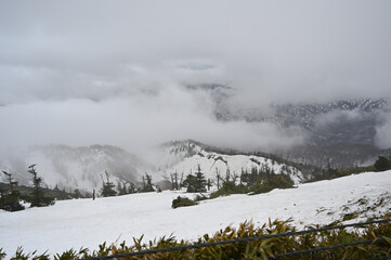 Fototapeta premium 八幡平アスピーテライン
