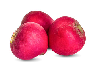 radish isolated on white background