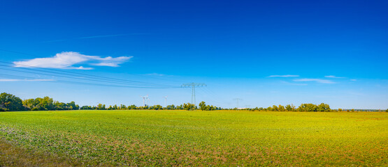 Panoramic view with beautiful green farm landscape with wind turbines to generate electrical power and high voltage power lines crossing blue sky..